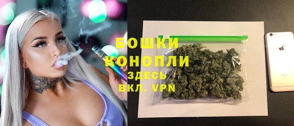 шишки Горнозаводск