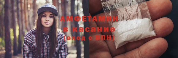 шишки Горнозаводск
