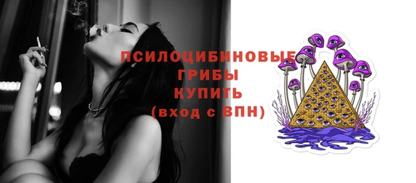 гашик Горняк