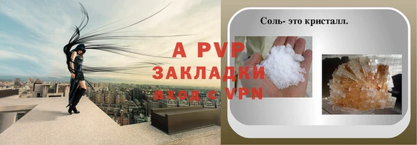 мяу мяу мука Горно-Алтайск