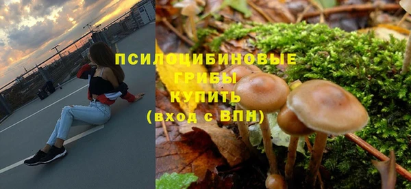 шишки Горнозаводск