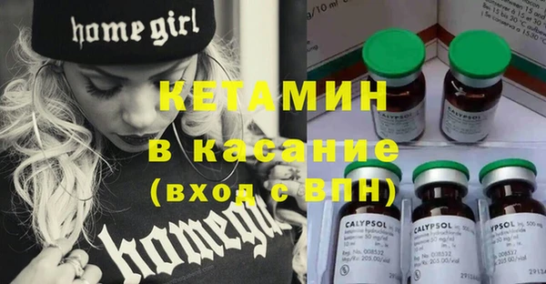 гашик Горняк