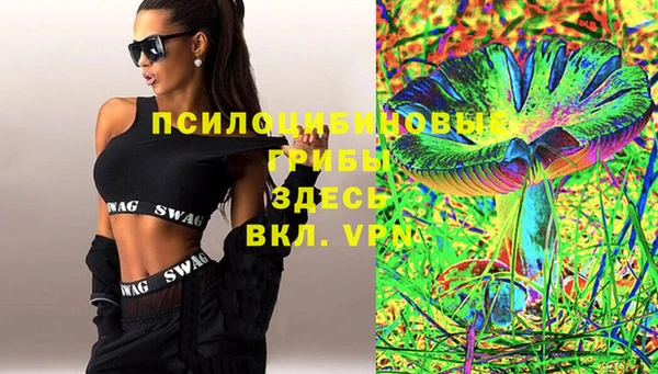 мяу мяу мука Горно-Алтайск
