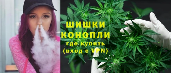 шишки Горнозаводск