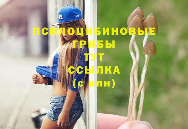 гашик Горняк