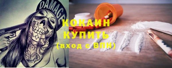 гашик Горняк