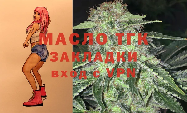 гашик Горняк