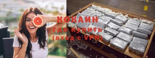 гашик Горняк