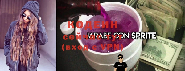 гашик Горняк