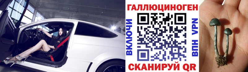Галлюциногенные грибы GOLDEN TEACHER  Купить где  Бирск 